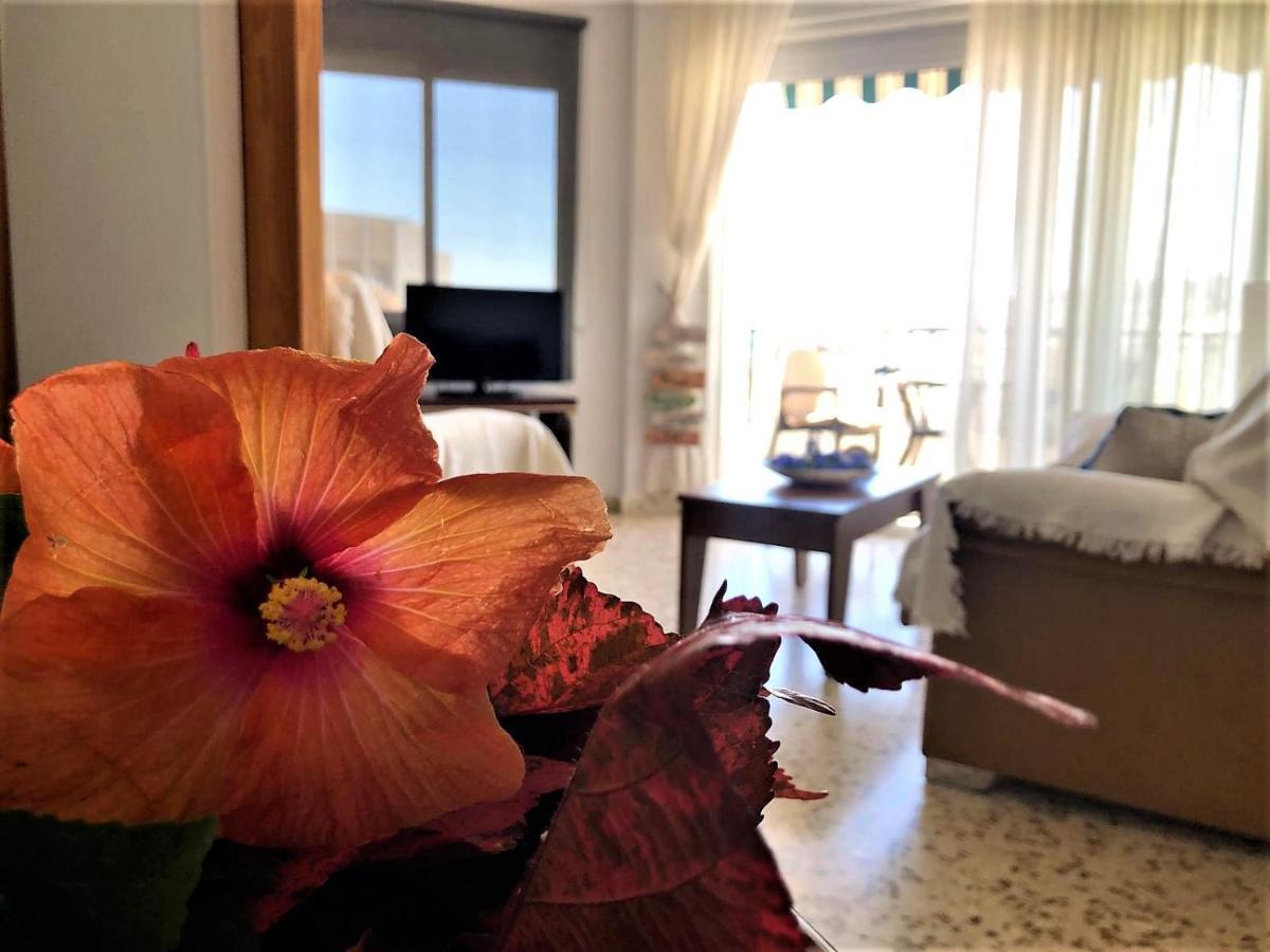 Appartement Salute To The Sea
