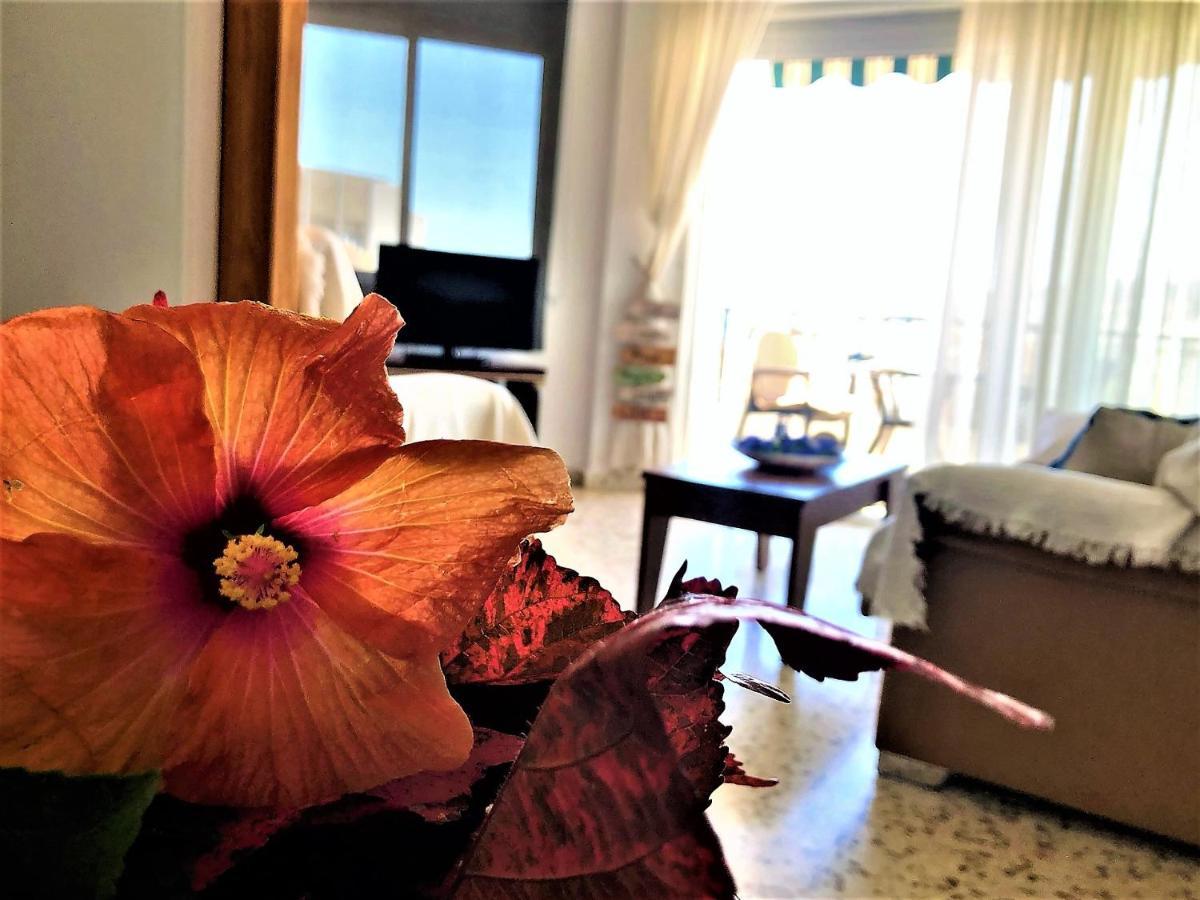 Appartement Salute To The Sea Nerja
